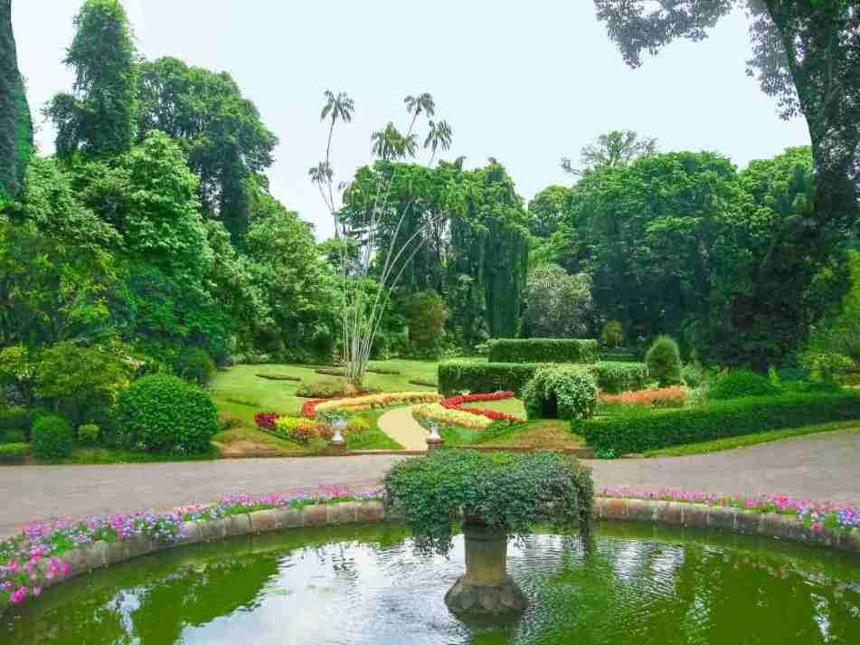 Tour Image